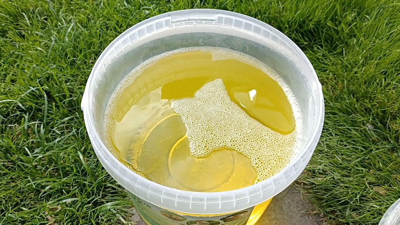 Der 11. Preisflug / 11. pigeon race