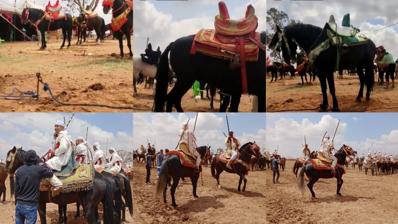 موسم القراقرة اجواء تبوريدة والخيل ياسلام