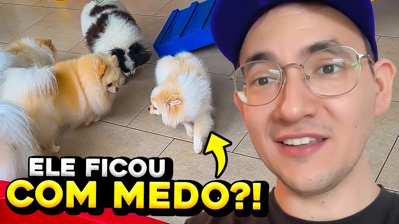 LEVAMOS O MANJERICÃO NA CRECHE!