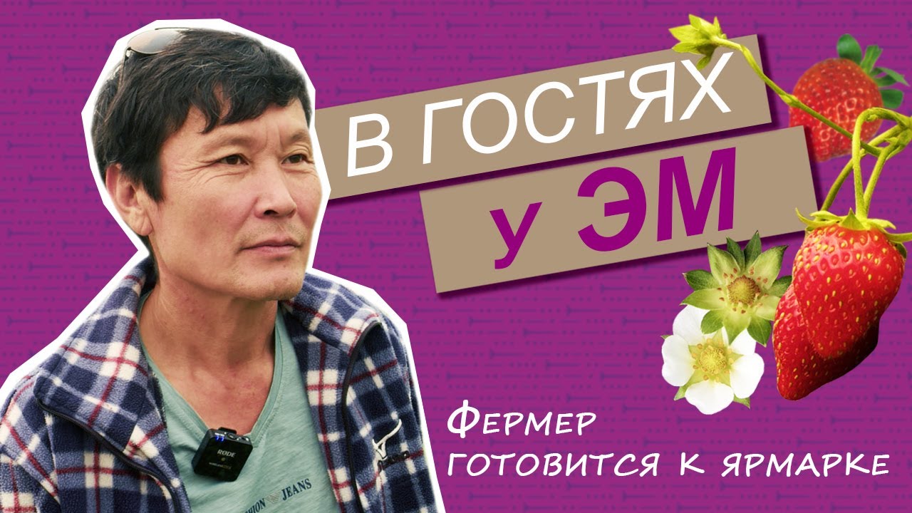 СЮЖЕТ: Фермер Якутска собирает урожай на радость горожанам и гостям столицы