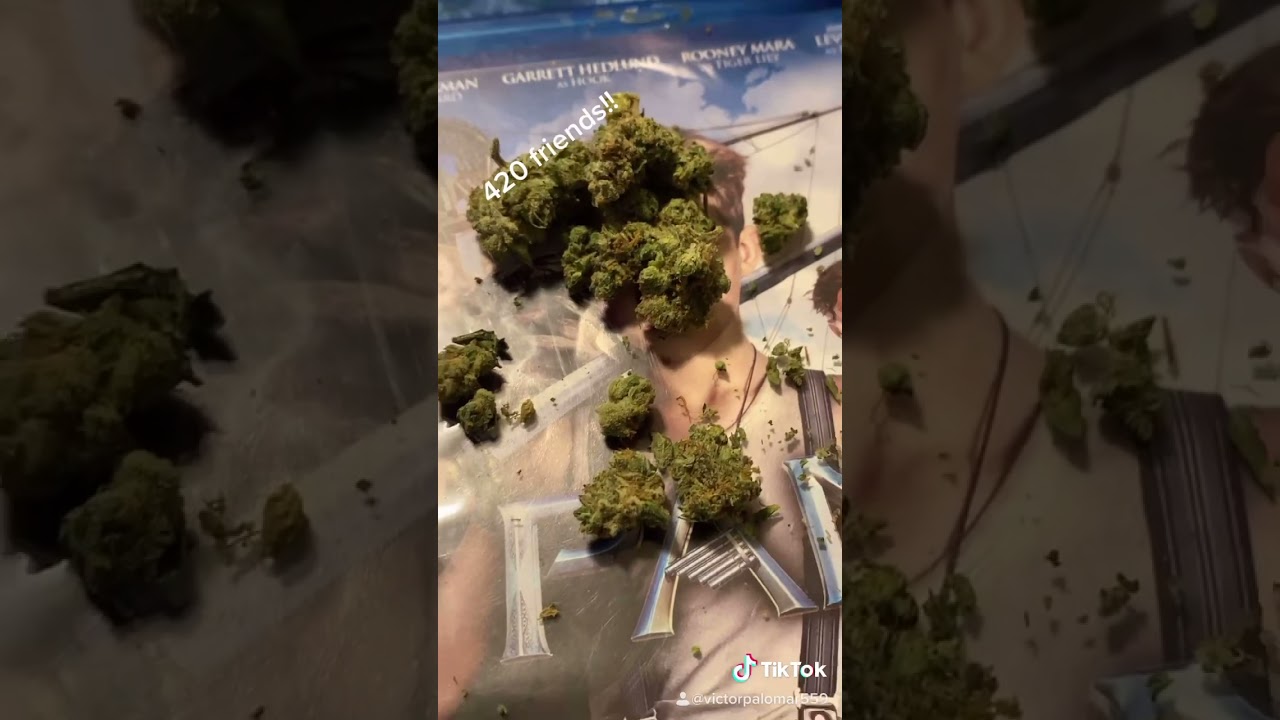 How to roll a blunt