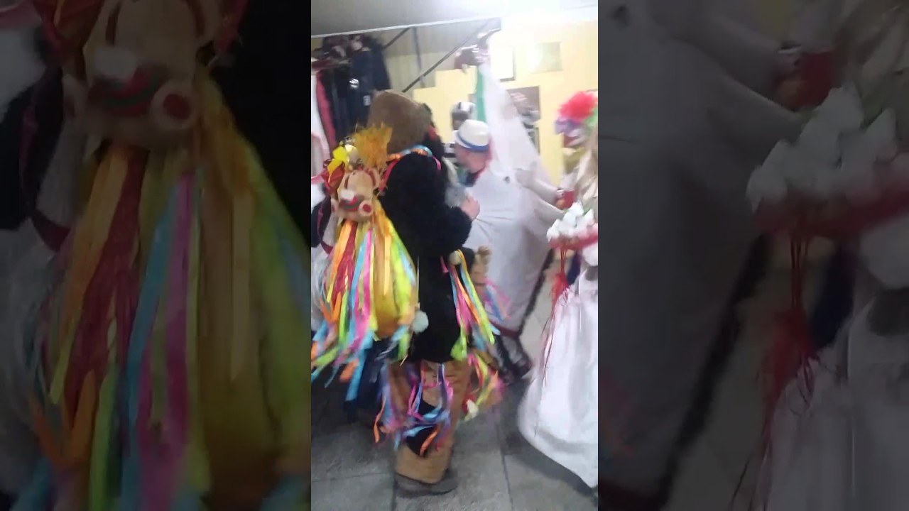 Koza Kazanie w urzędzie Gminy i miasta Lubraniec 2017