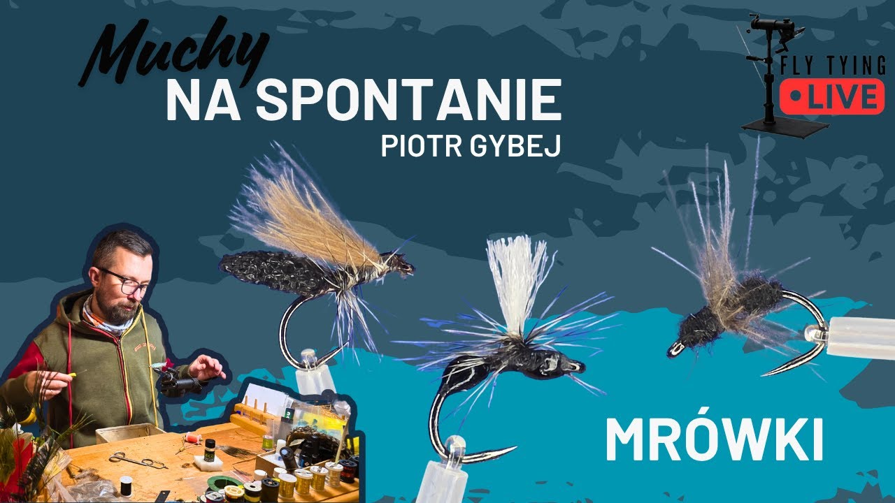 Muchy na spontanie II  odc 72 - Piotr Gybej - mrówki.