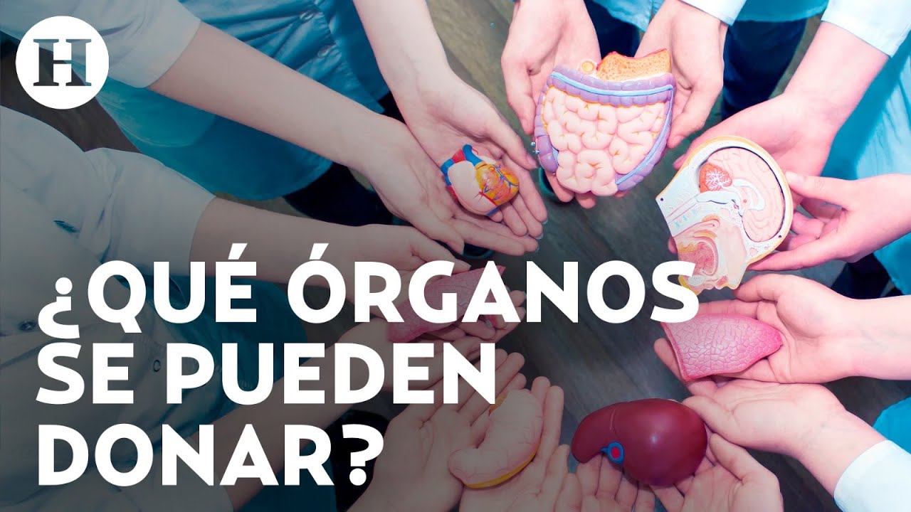 ¿Cómo donar órganos después de morir en México? Cruz Roja explica cómo puedes salvar vidas