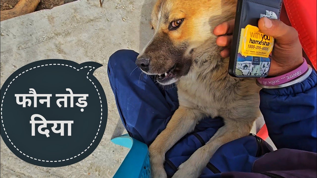 Phone tod diya 🥹🥹 || life style vlog