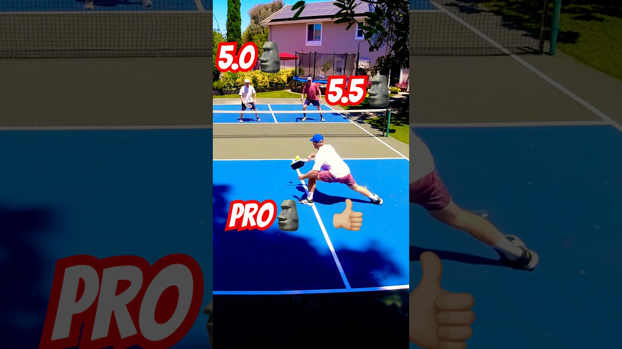 No Business Winning That Point! #pickleball #pickleballhighlights #tennis #minitennis #kdbbm #wow