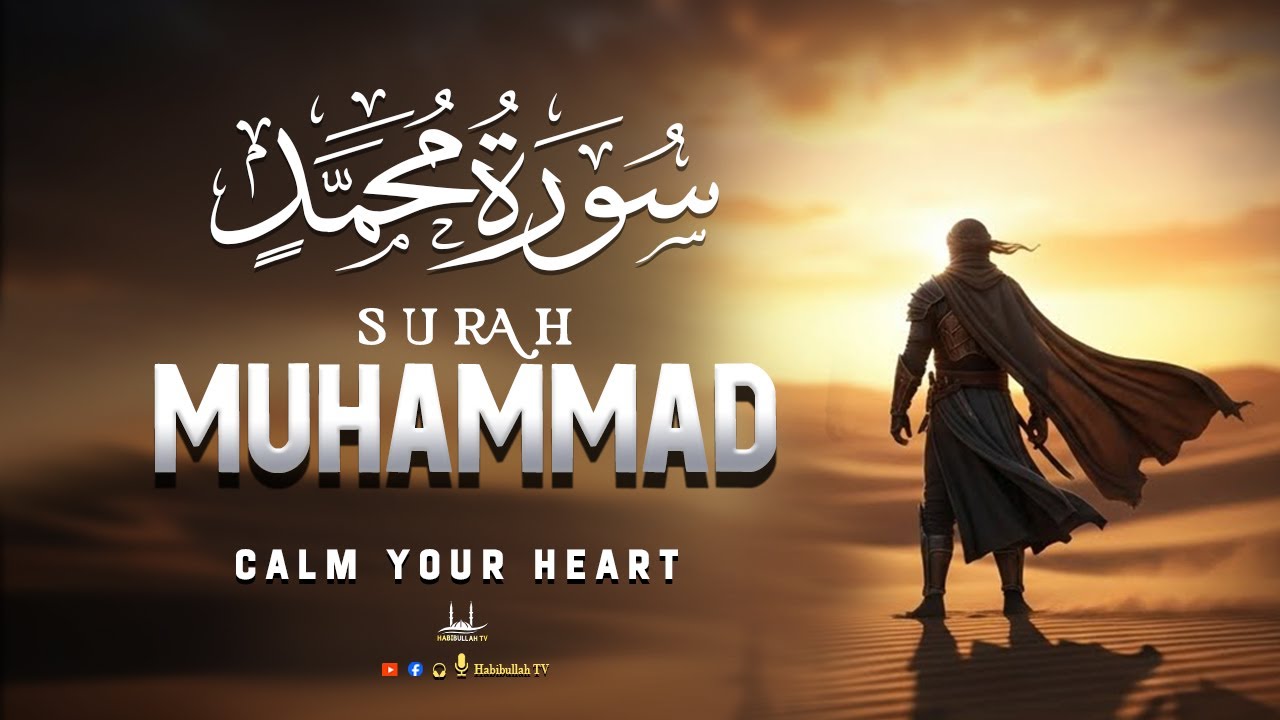 Surah Muhammad (سورة محمد) Calm Your Soul | Relaxing Quran Recitation | Habibullah TV