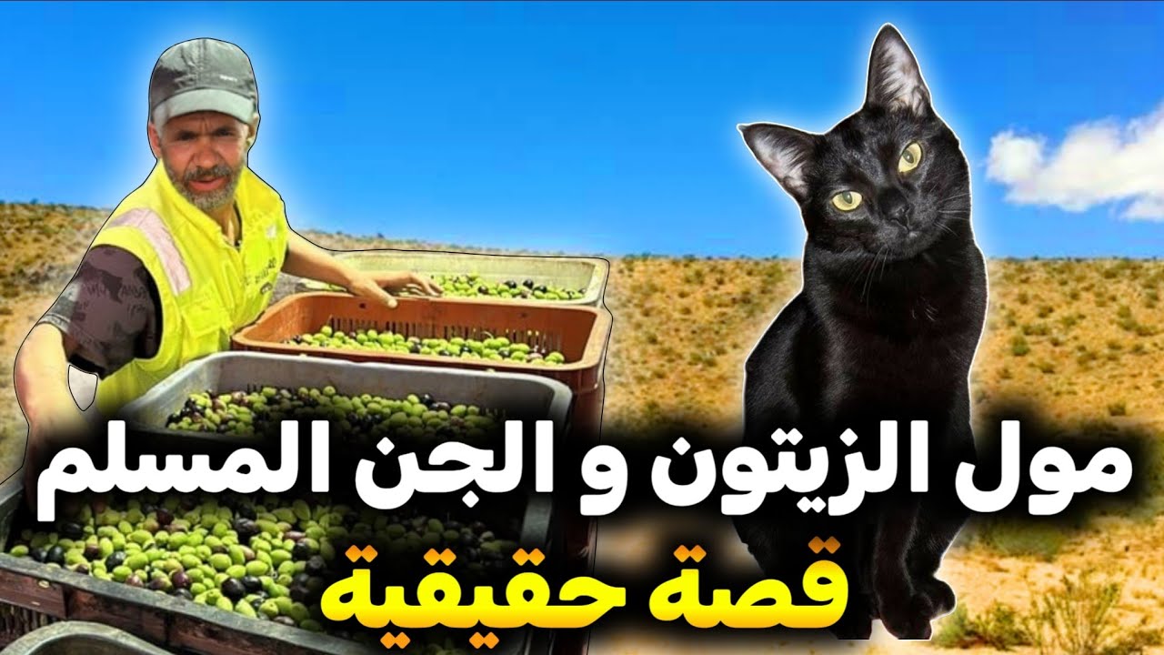 اخطر قصص رعب للمتابعين 717# | قصص رعب | 9isas ro3b