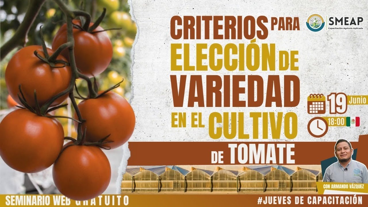 Criterios de elección para Variedad en el Cultivo de Tomate
