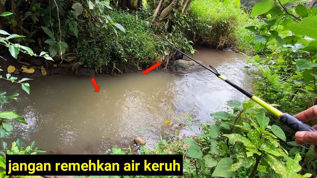 Spot Selokan Misterius!!!🎣Iseng Lempar Kail Malah Panen Ikan wader
