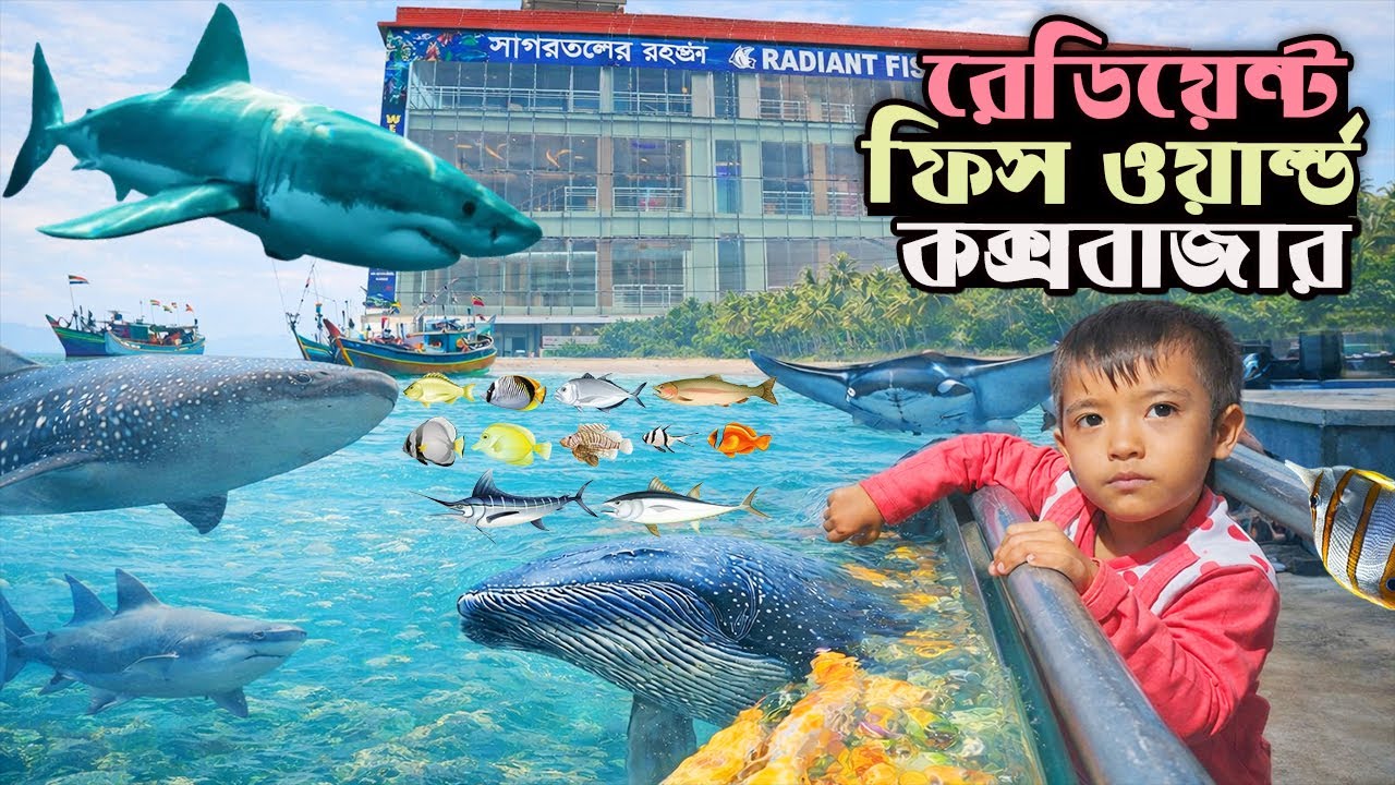 সাগর তলের রহস্য | রেডিয়েন্ট ফিস ওয়ার্ল্ড, কক্সবাজার | Radiant Fish World, Cox’s Bazar |