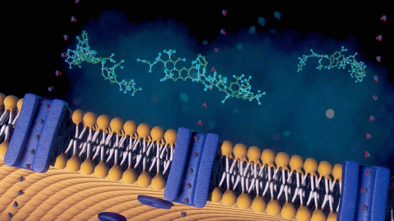 Acquaporine