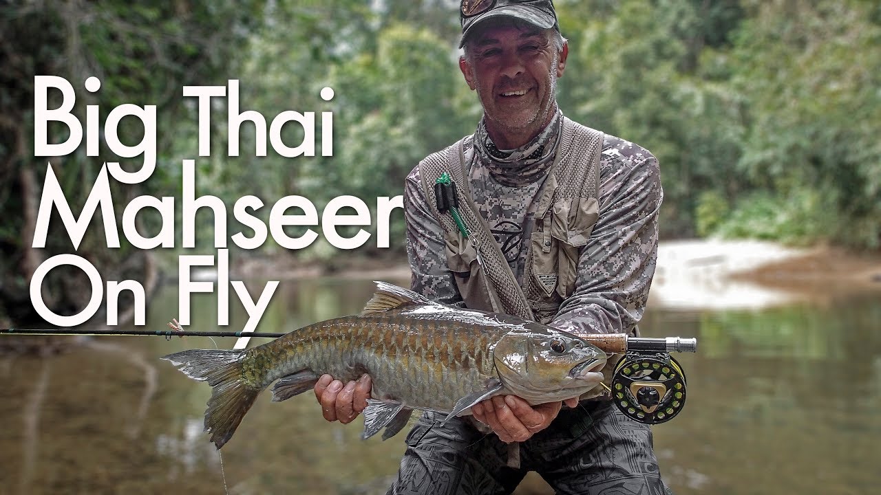 Fly fishing Thai Mahseer - Tim Nails a Big One