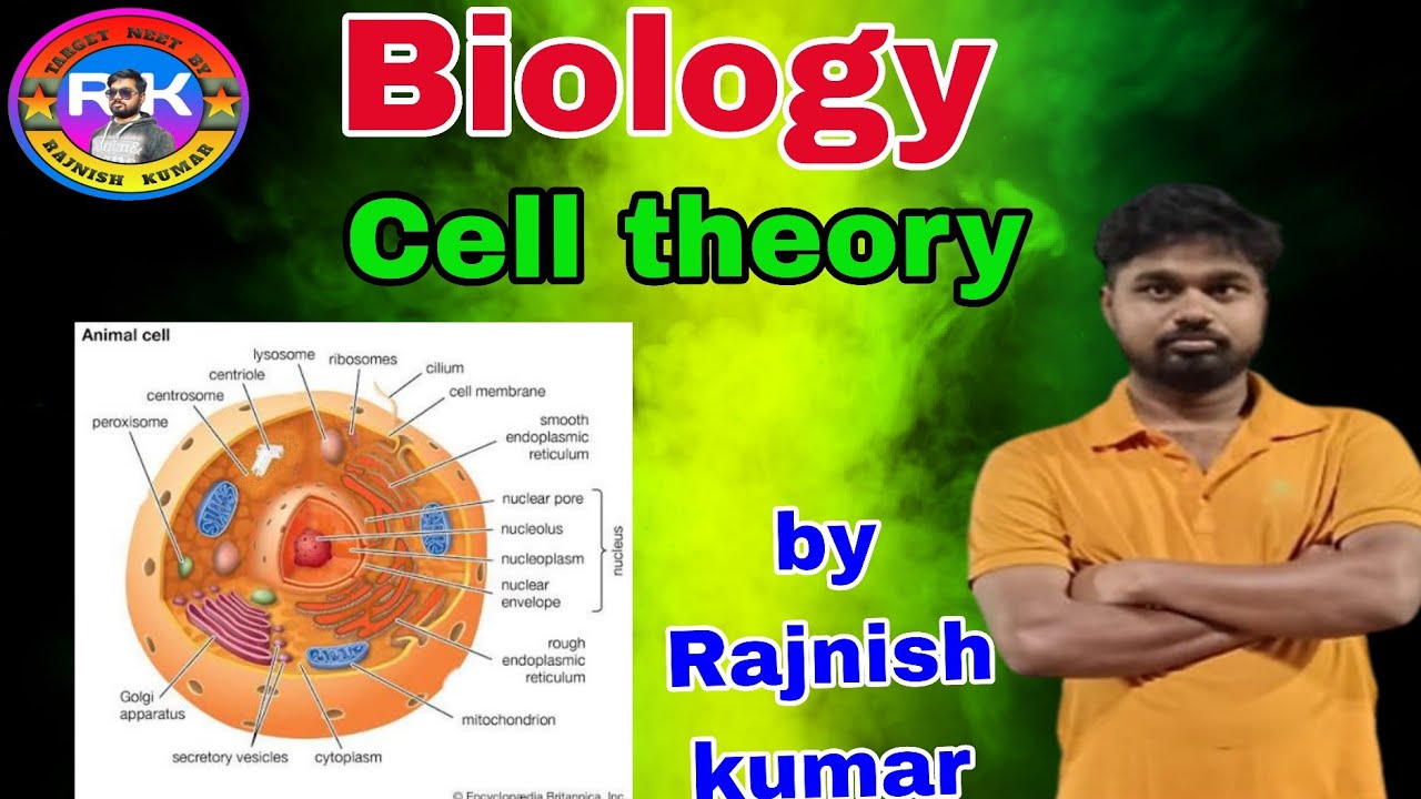 Cell theory Rudolf virchow 
