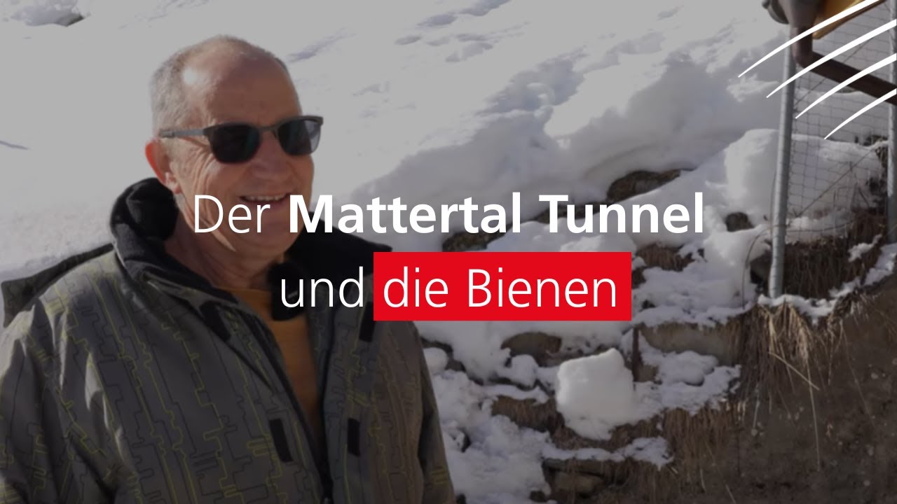 Der Mattertal Tunnel und die Bienen