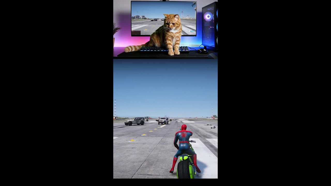 GTA 5 Live