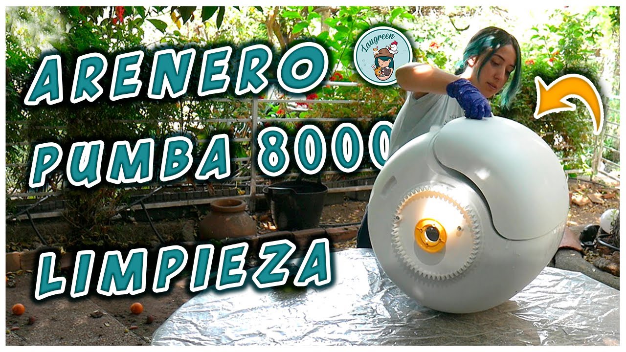 Como Limpiar Arenero Autolimpiable Cecotec Pumba 8000 para Gatos 😸