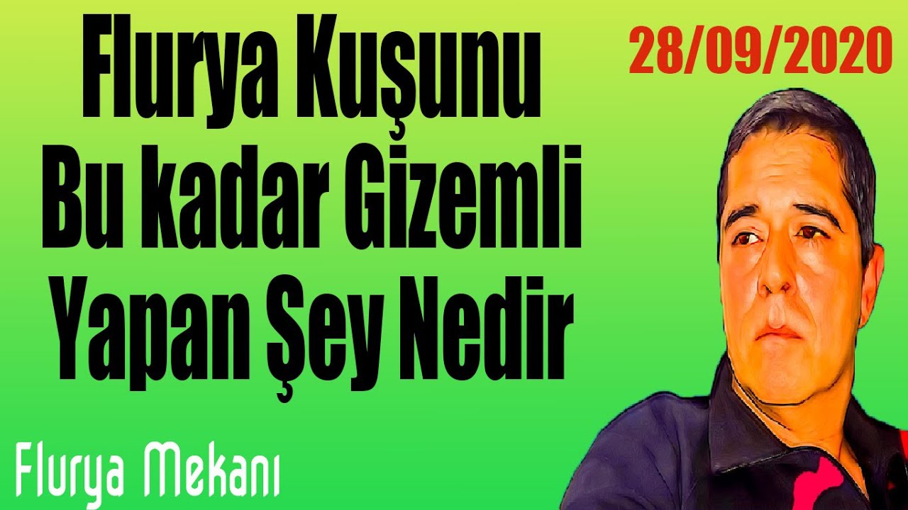 Flurya Mekanı - Flurya kuşunu bu kadar gizemli yapan şey nedir