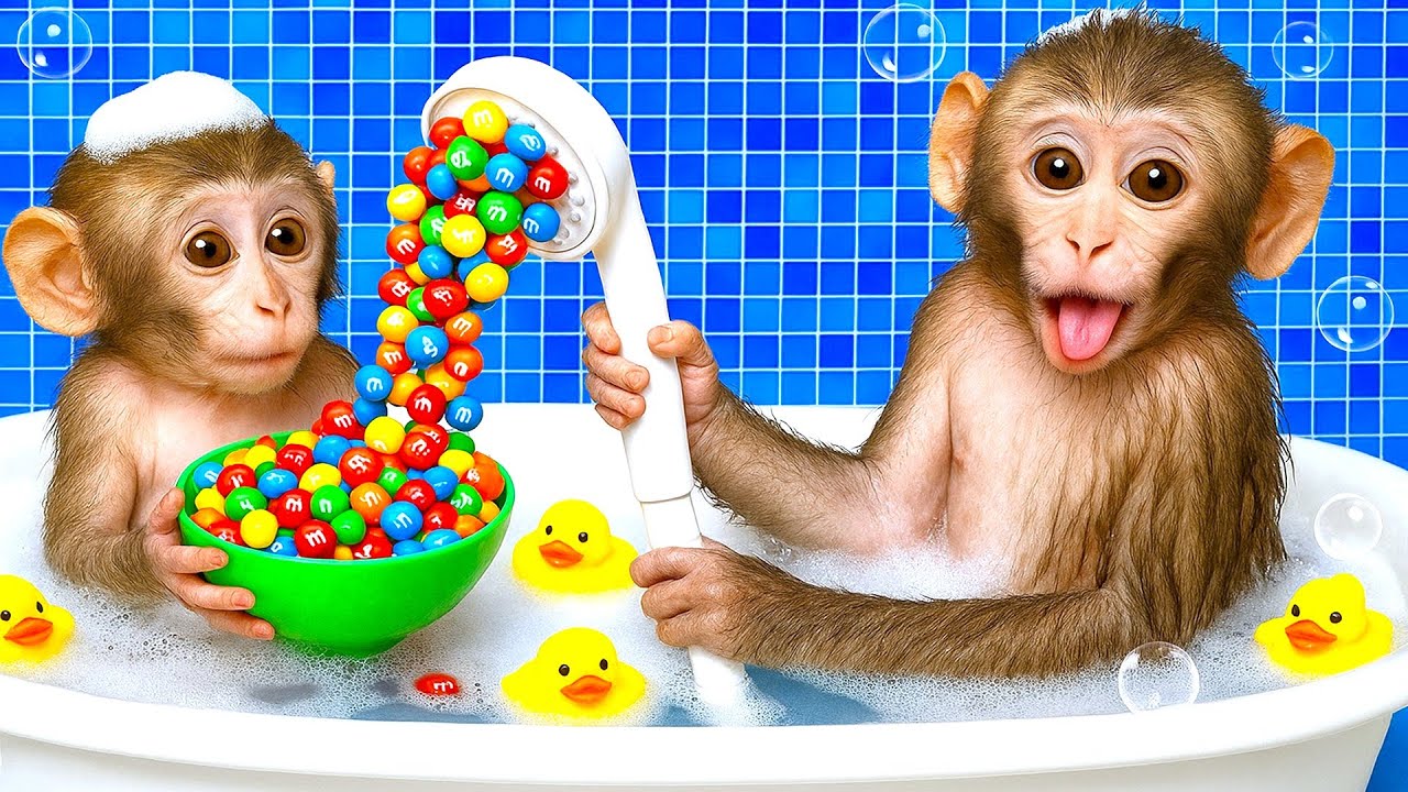 Monkey YoYo bath with Baby Monkey in Rainbow Bathtub with full of M&M Candy | MONKEY YOYO