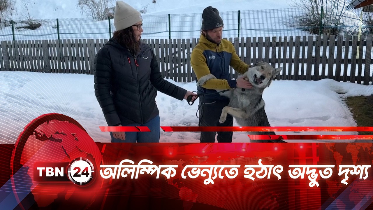 হঠাৎ অলিম্পিকে অদ্ভুত দৃশ্য দেখে দর্শকরা বিস্মিত | TBN24 NEWS | Olympics Wolfdog Italy