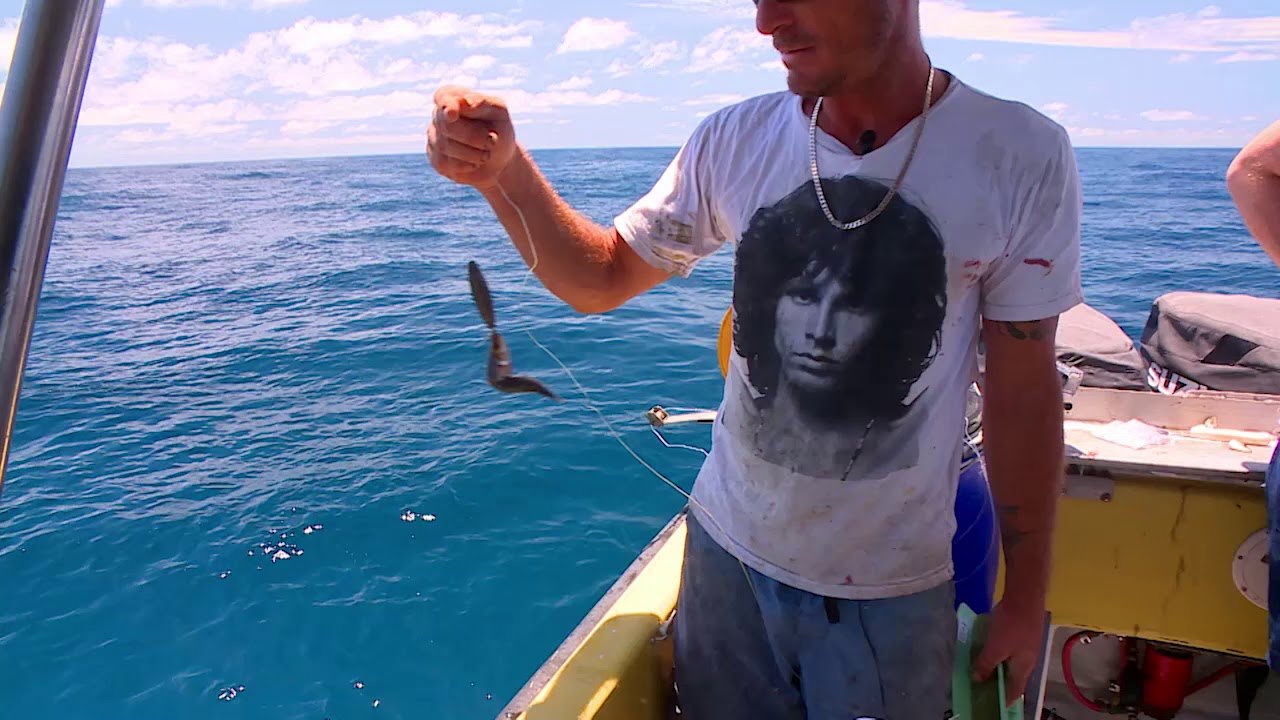 Seafood Escape with ET: Queensland Reef Fish , S1E2, Fishing Clip #2