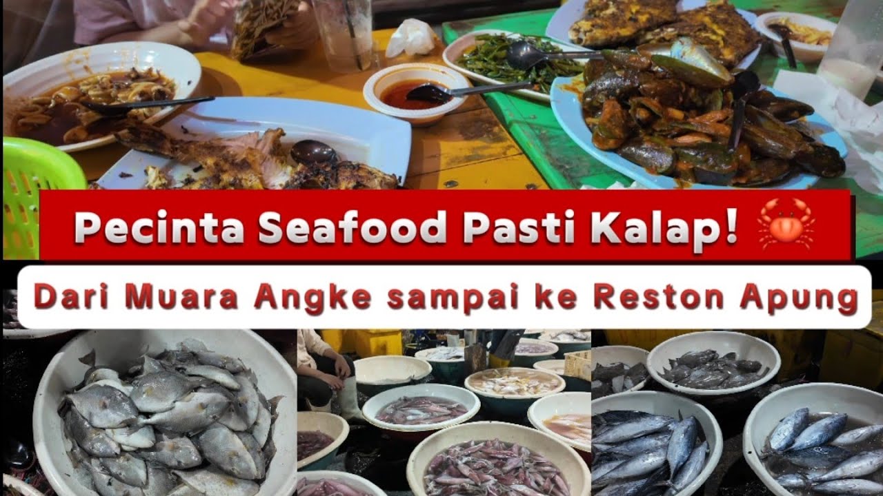 VIRAL ‼️‼️Pecinta Seafood Pasti Kalap 🤯” BELI DI MUARA ANGKE-MAKAN DI RESTO APUNG