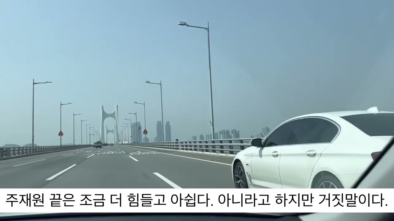 주재원 비자 끝 한국방문 ep.11