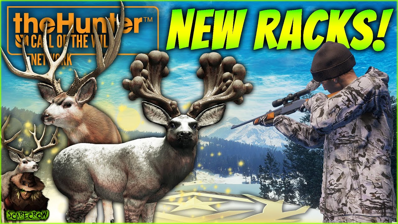 Hunting The NEW Mule Deer Racks Leads To A Great One With The .257 Roberts! Call of the wild