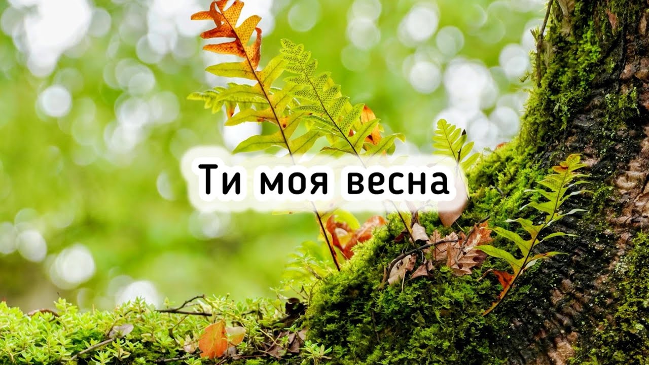 В цьому світі я живу… Християнська пісня з текстом