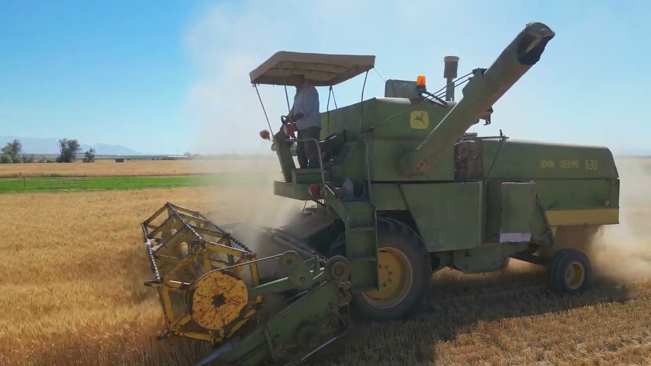 JOHNDEREE 630 BUĞDAY TARLASI ESPERİA HASATI. JOHN DEERE 630 WHEATFIELD ESPERIA HARVEST