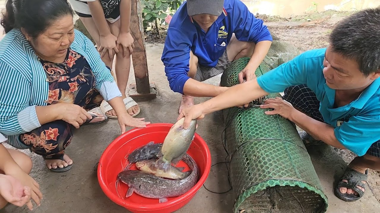Giựt Đã Tay với Bầy Cá Rô Mề Chỉ Cần Một Mồi Duy Nhất Là Hết Sạch Mương | TKQ & Family T1406