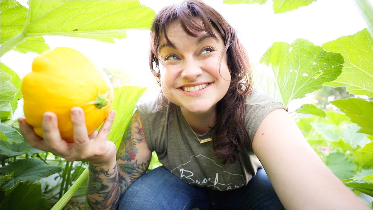 Massive squash HARVEST (And guess who is here!) | VLOG
