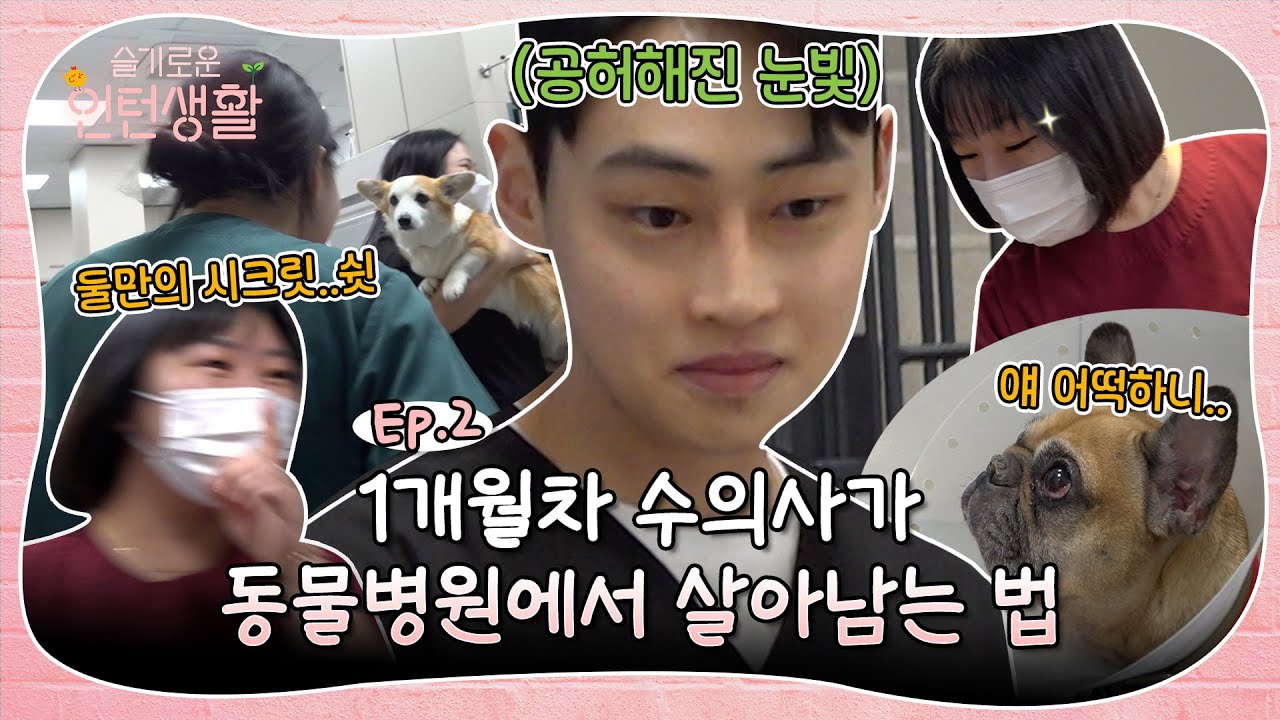 1개월차 인턴 수의사가 동물병원에서 살아남는 방법 (feat.빨간옷의 천사💖)｜🐤슬기로운 인턴생활🌱 Wise lives of intern [Ep.2 여긴 어디 나는 누구]