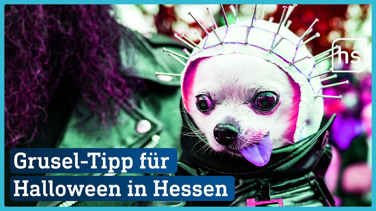 Last-Minute Halloween-Events heute in Hessen | hessenschau
