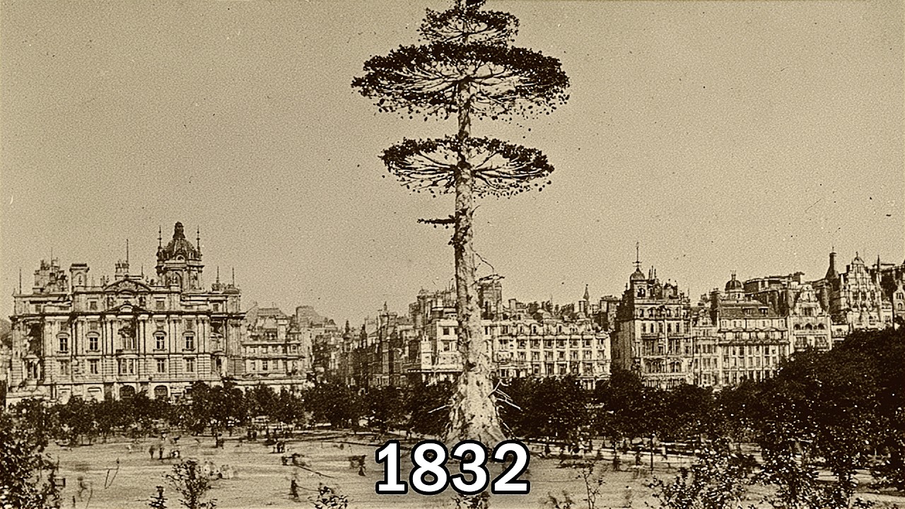 Tartaria Had Trees That Grew Infinite Food &mdash; Then They Burned Them All