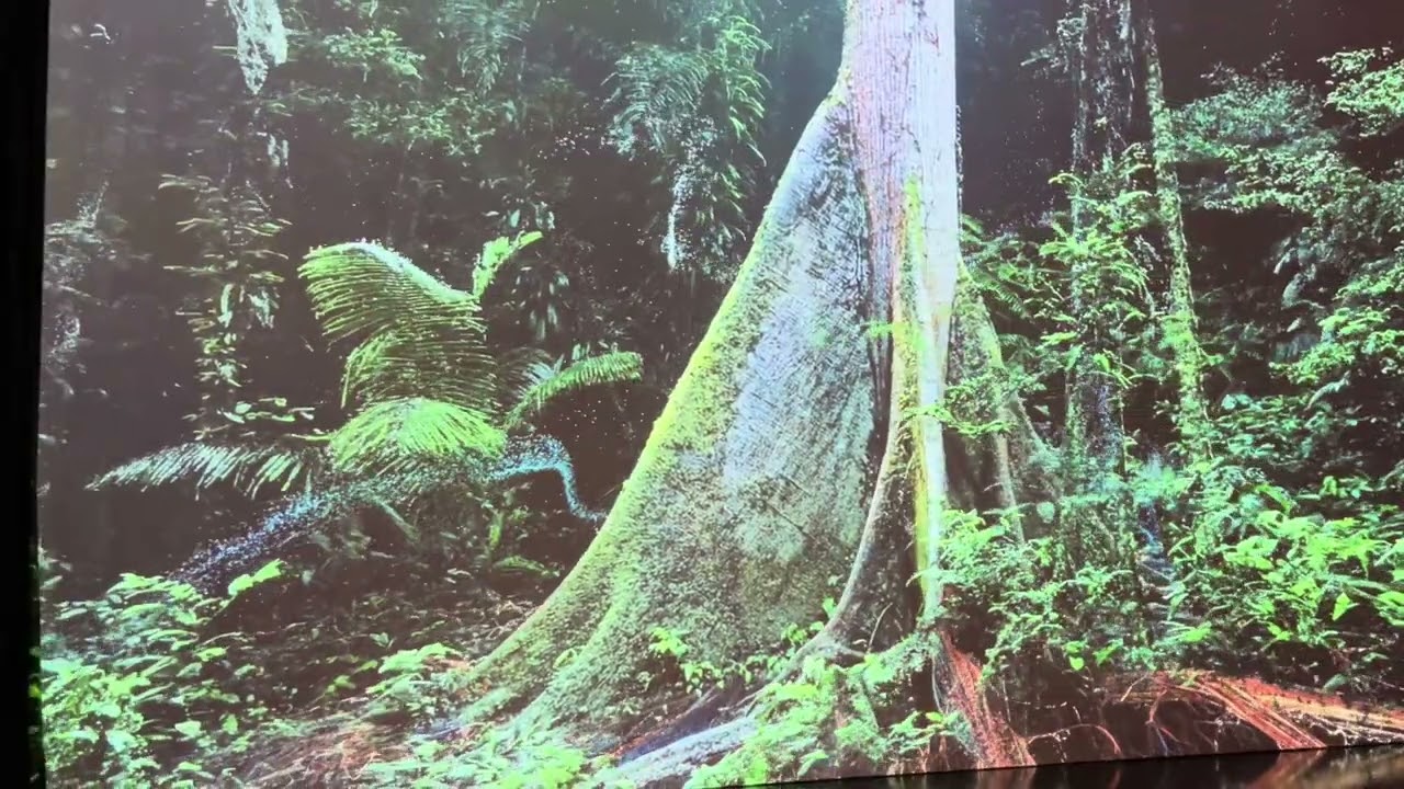 &ldquo;Sanctuary of the Unseen Forest&rdquo; at the Peabody Essex Museum, Salem, MA