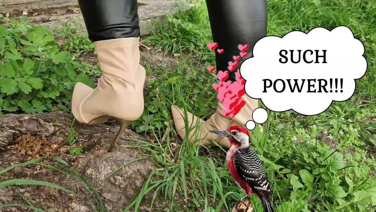 Woodpecker in steel heel ankle boots!!! 😃😈😃😘