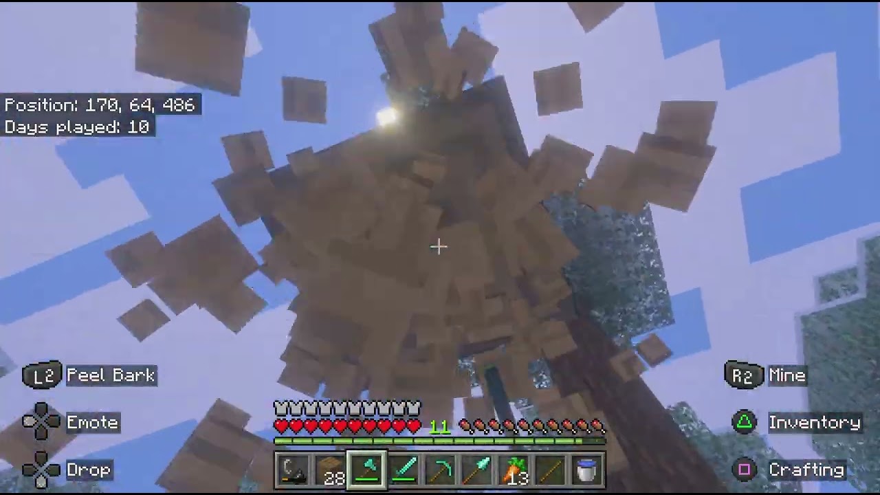 Minecraft_20260117183043