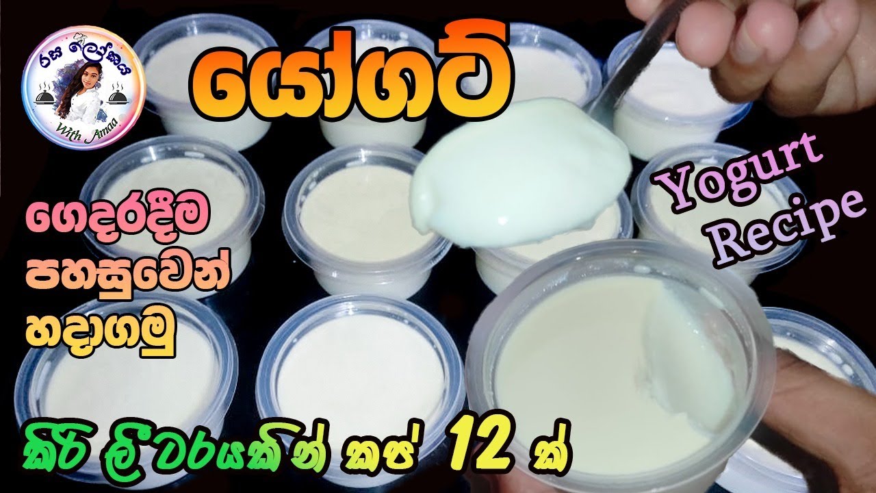පිරිසිදුවට රසට යෝගට් හදමු | How to make yogurt |yogurt recipe in sinhala | Rasalokaya with Amaa