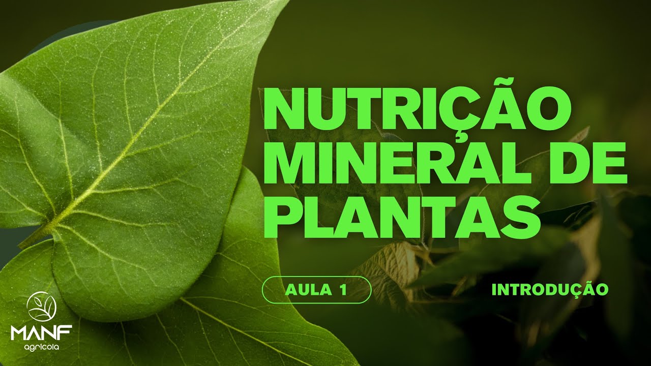 Nutrição Mineral de Plantas: Introdução