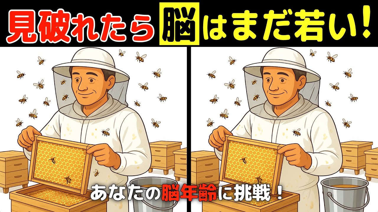 おとなの脳トレ❣️シニア向け間違い探しクイズ【認知症予防 / 脳年齢 / 頭の体操 / 老化防止 / 認知機能 / 脳活 / 記憶力 / 無料 / 60代 / 70代 / 80代】