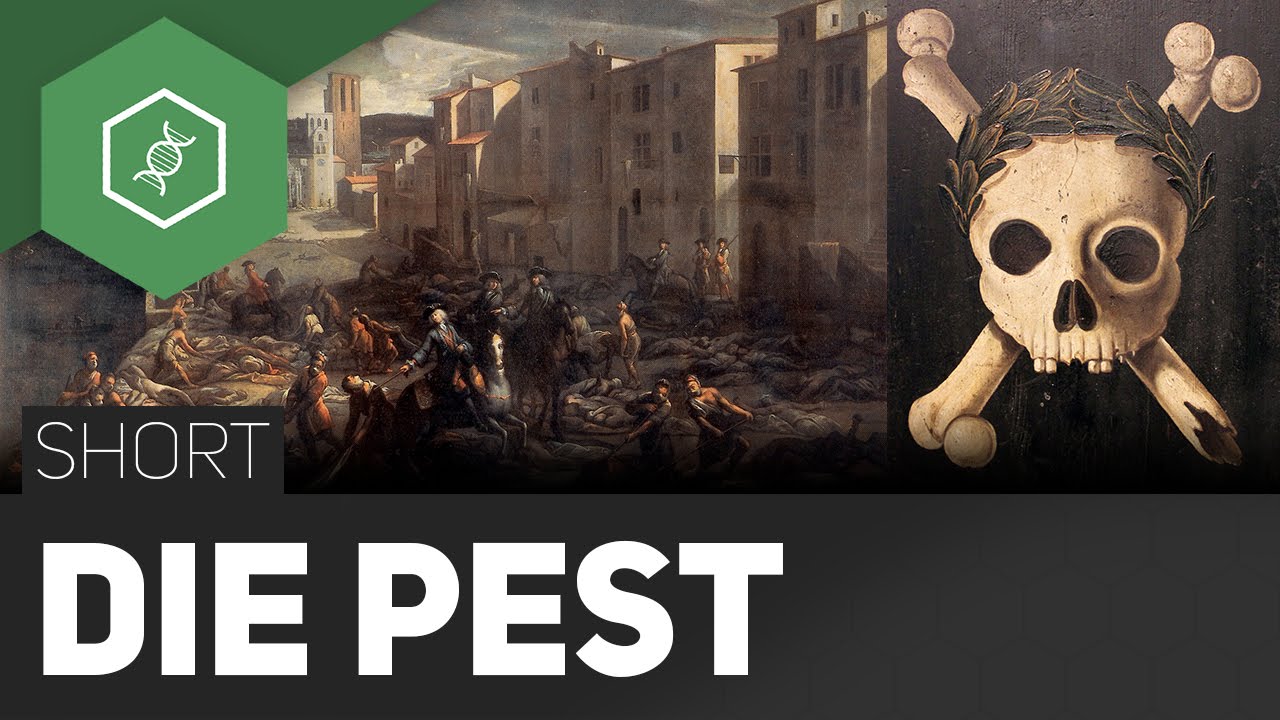 Die Pest – Ausbruch jederzeit möglich?!