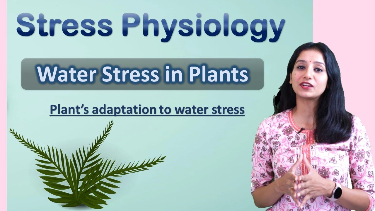 Plant's adaptation to water stress I Stress Physiology II CSIRNET IITJAM GATE DBT ICAR