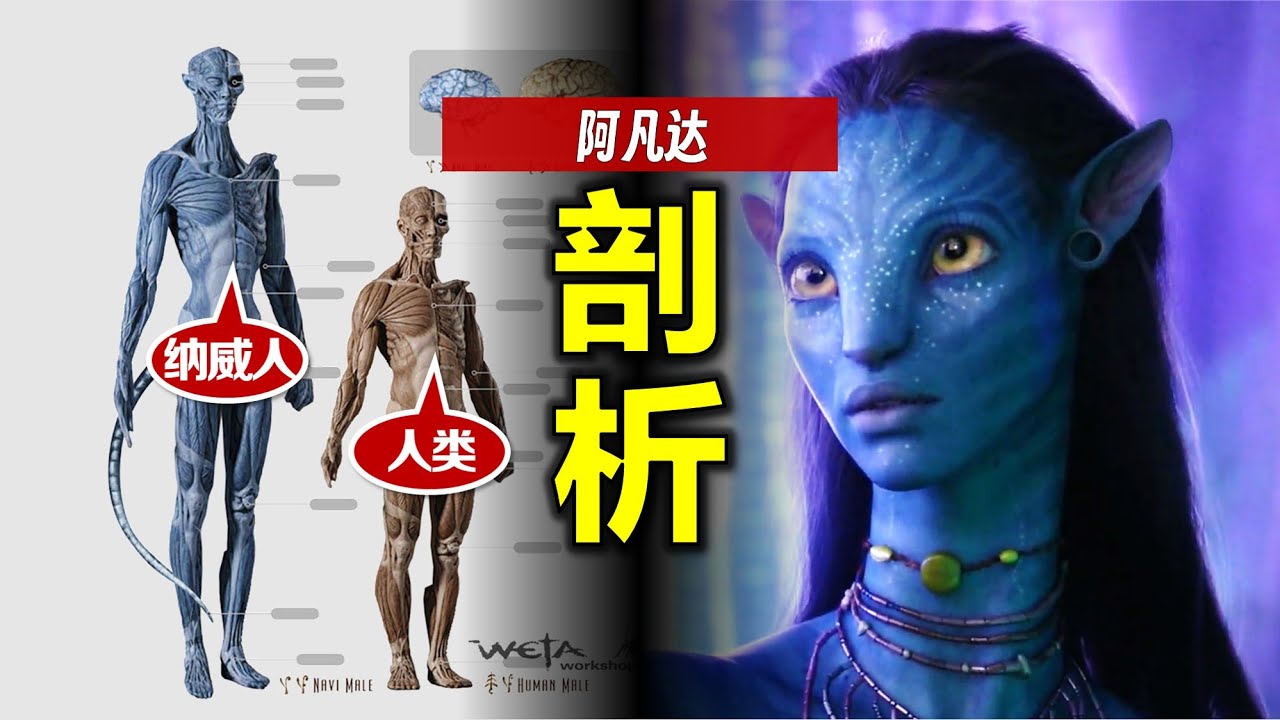 全網最細《阿凡達》納威人解析：多高？多重？為何沒有高科技？