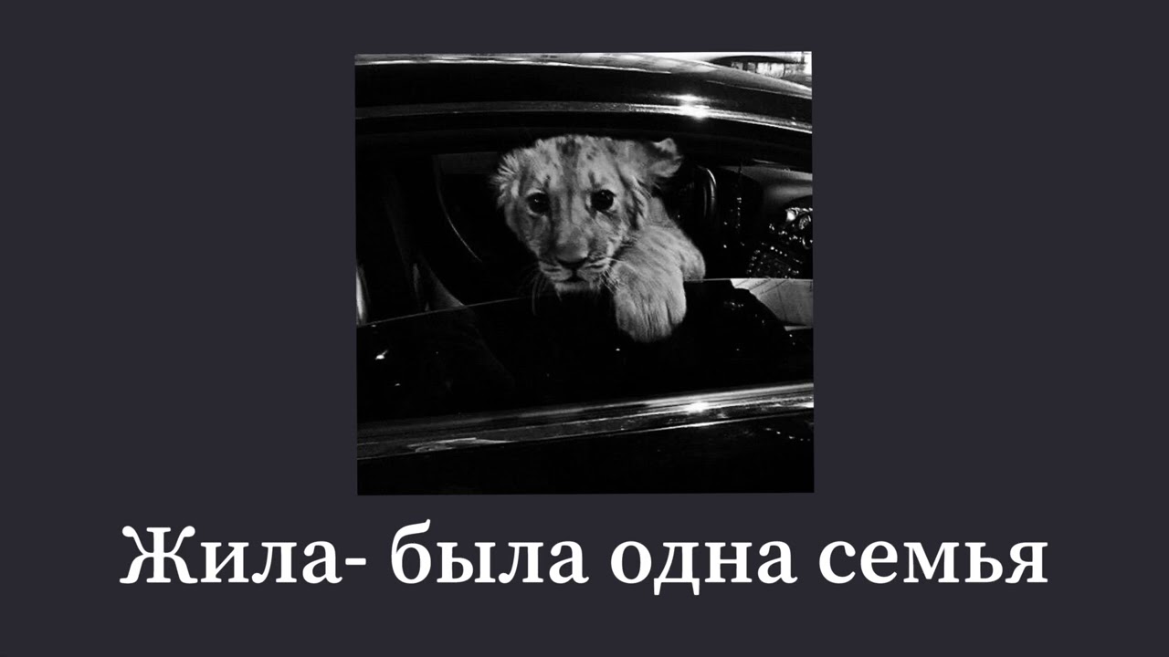 Разета Урсок - Жила была одна семья