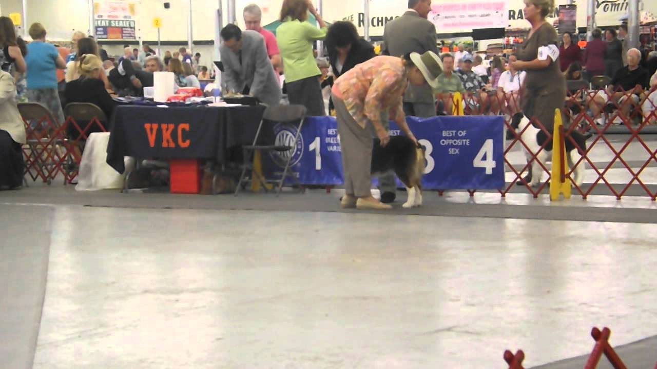 DSCF0599