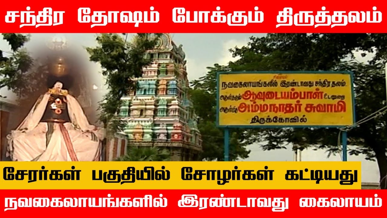 திருநெல்வேலி அருள்மிகு அம்மைநாதர் திருக்கோயில் | Ammainathar Temple | Cheranmadevi | Tirunelveli
