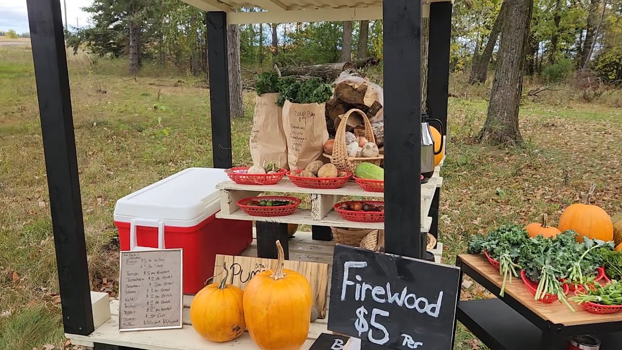 Building Our Roadside Farmstand For Less Than $100