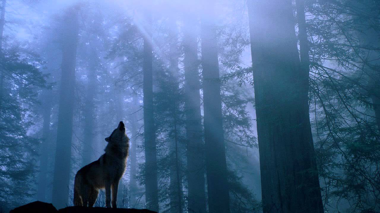 Beethoven - moonlight sonata (Rock Version)