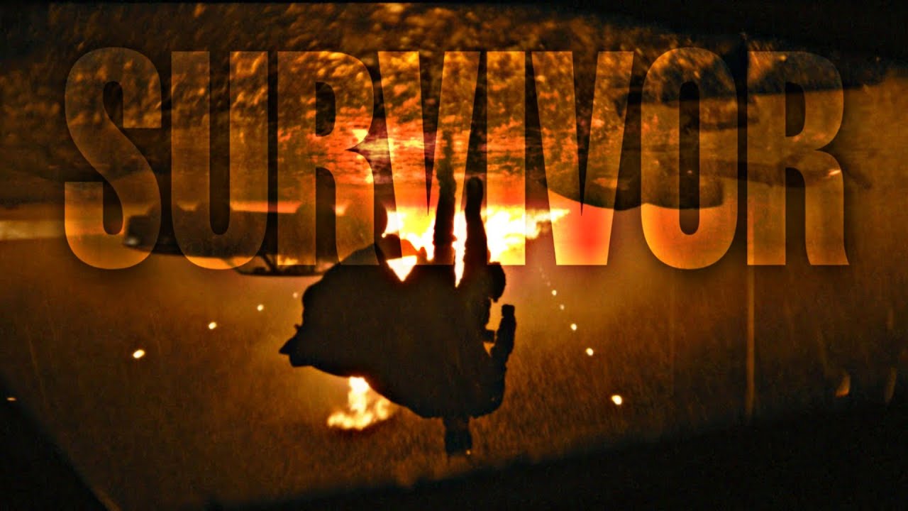Batman - Survivor